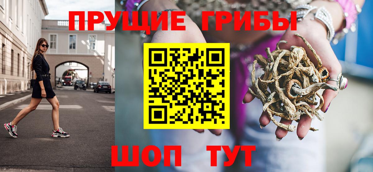 Псилоцибиновые грибы Psilocybine cubensis Симферополь